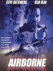 Poster do filme Airborne
