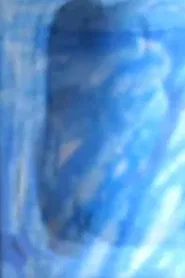 Le Mur (wall) - 2 movie poster