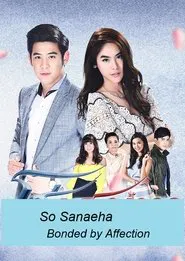 So Sanaeha tv show poster