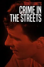 Crime in the Streets movie poster