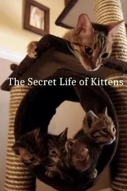 The Secret Life of Kittens tv show poster