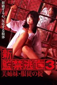 Escape Captivity 3: The Beautiful Sisters' Law of Submission movie poster