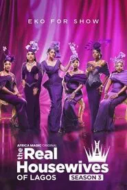 The Real Housewives of Lagos tv show poster