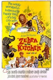 Zebra in the Kitchen movie poster
