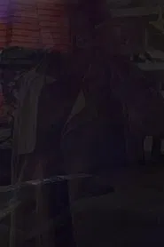 Northern Interior movie poster