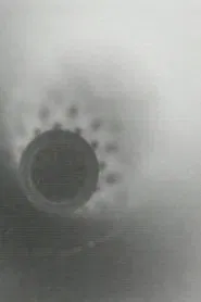 Moment Musical movie poster