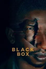 Poster do filme Caixa Preta