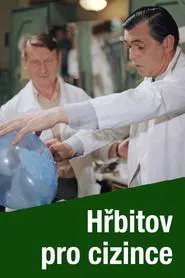 Poster do filme Hřbitov pro cizince