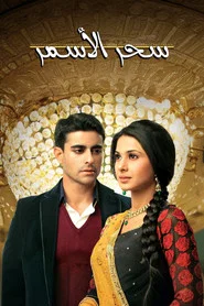 Saraswatichandra tv show poster