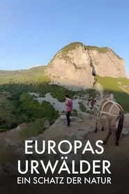 Poster do filme Europe's primeval forests, a treasure of nature