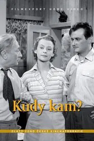 Kudy kam? movie poster