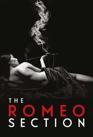 The Romeo Section tv show poster