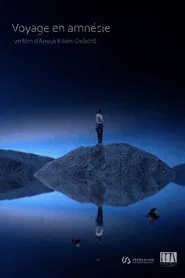 Journey in Amnesia movie poster