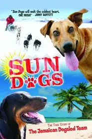 Sun Dogs movie poster