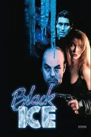 Poster do filme Black Ice
