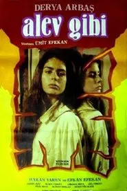 Poster do filme Alev Gibi