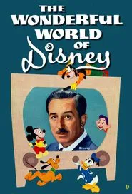 Poster da série The Wonderful World of Disney