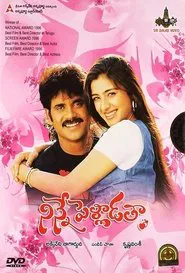 Poster do filme Ninne Pelladatha