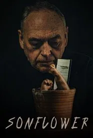 Poster do filme Sonflower