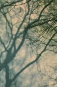In a Tree’s Shadow II movie poster