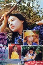 Poster da série 女人不是月亮