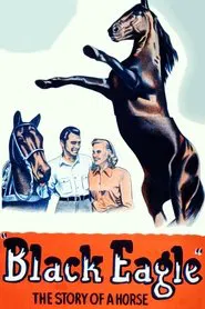 Black Eagle movie poster