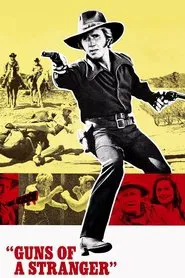 Poster do filme Guns of a Stranger