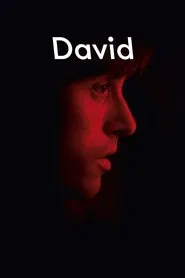 David movie poster