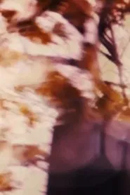 Poster do filme The Driveways of People's Houses