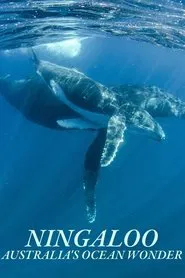 Ningaloo Nyinggulu tv show poster