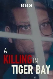 A Killing in Tiger Bay tv show poster