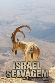 Poster da série Israel Selvagem