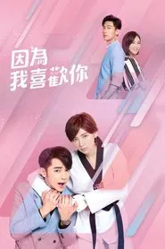 Falling Into You tv show poster