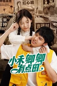 Nanfan Family tv show poster