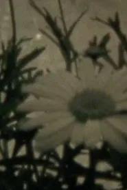 Blumenhysterie movie poster