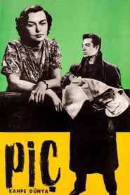 Piç movie poster