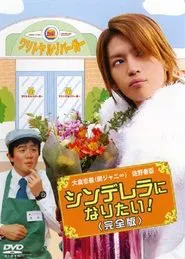 Poster do filme Cinderella ni Naritai