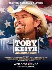 Toby Keith: American Icon movie poster