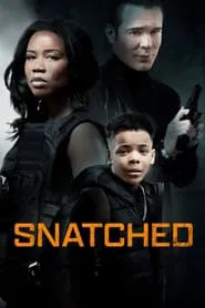 Snatched movie poster