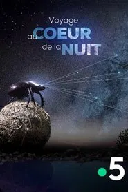 Voyage Au Coeur De La Nuit movie poster