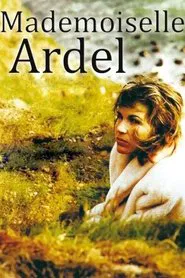 Der Erfolg ihres Lebens tv show poster