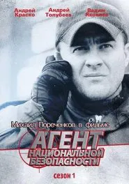 National Security Agent tv show poster
