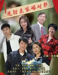 选错亲家嫁对郎 movie poster