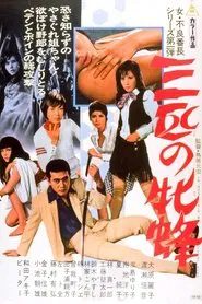 Poster do filme Three Pretty Devils