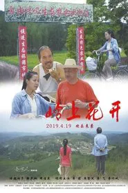 Poster do filme 岭上花开
