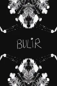 BULIR movie poster