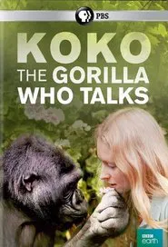 Koko: The Gorilla Who Talks to People movie poster