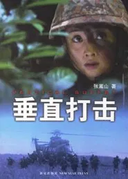 Poster da série 垂直打击