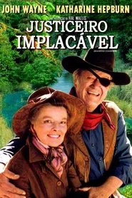 Poster do filme Justiceiro Implacável