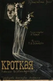 The Meek One movie poster